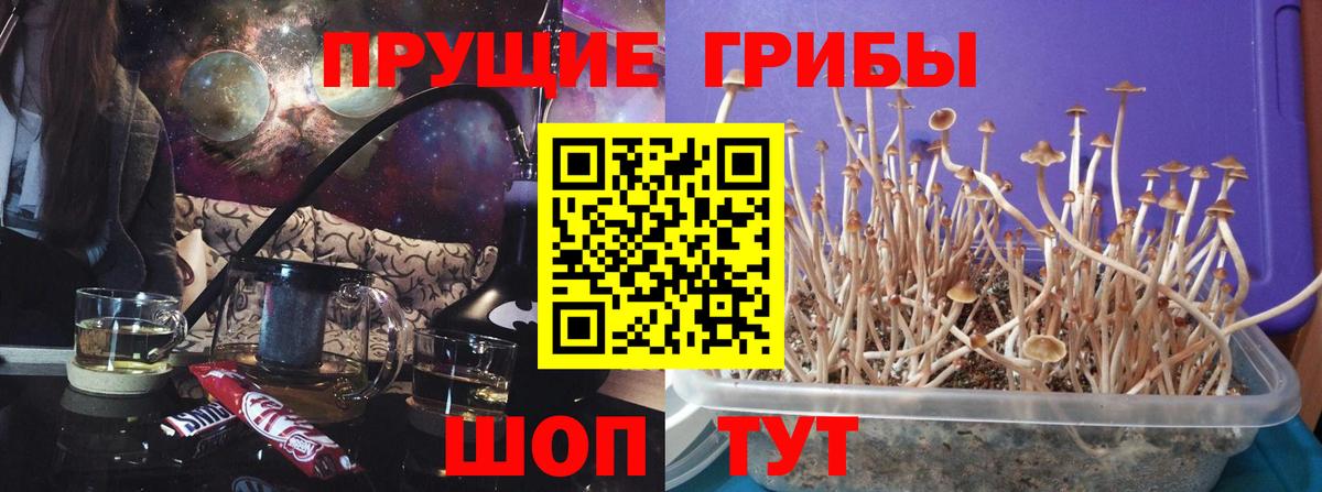 Псилоцибиновые грибы Magic Shrooms Донецк
